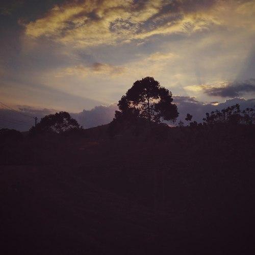 nature