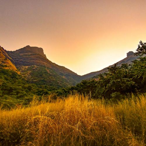 Nature photography