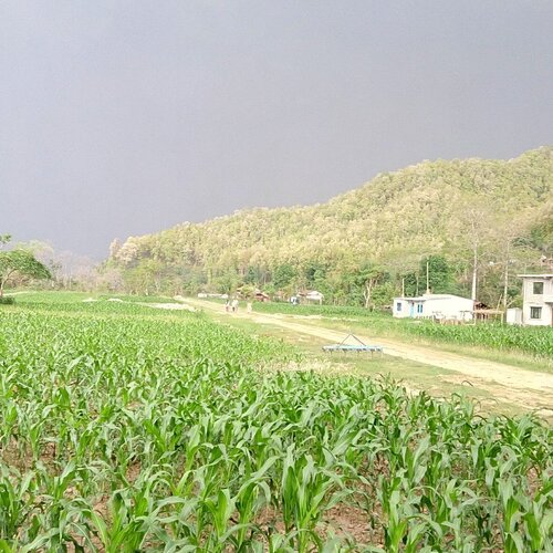 Just Before Rain