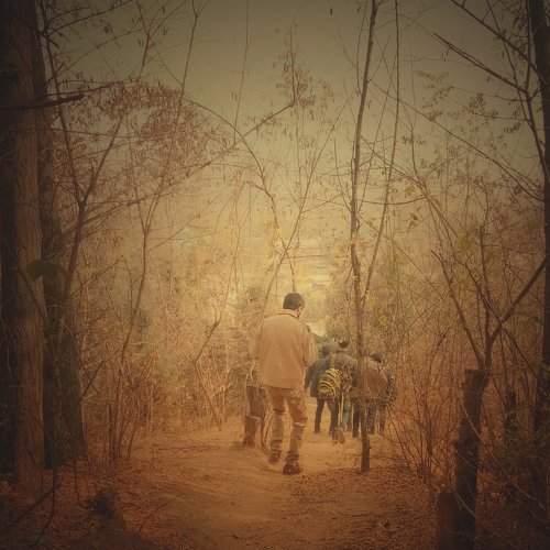 Making way by tresspass