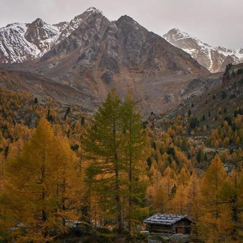 Cabin in Val d´Utimo