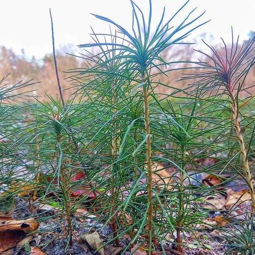 Photo #2142927