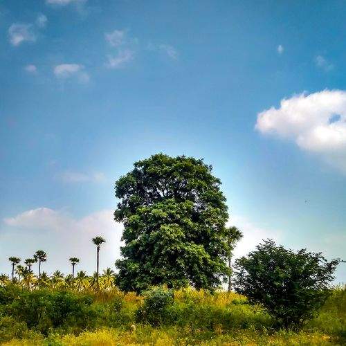 Photo #2144269