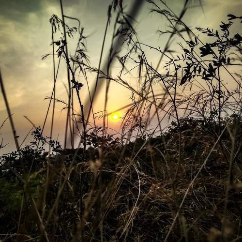 Photo #2144273