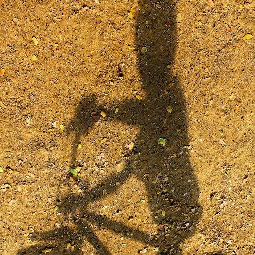 Light & Shadow