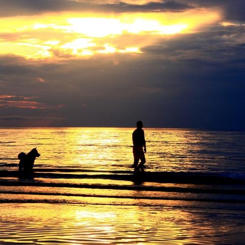 Лето. Море. Закат.