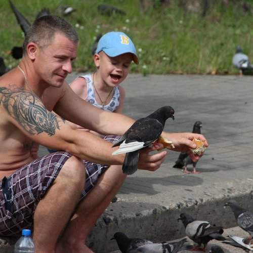 Городская птица счастья / City happiness bird