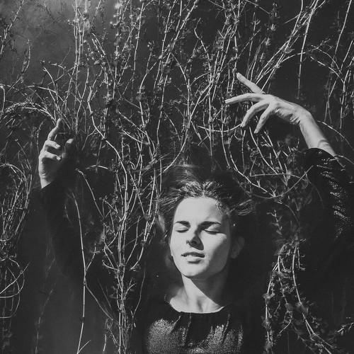 Photo #2146435