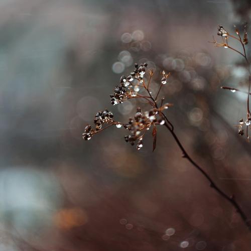 Photo #2147349