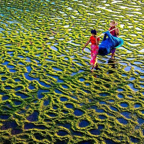 Crossing Moss Plane