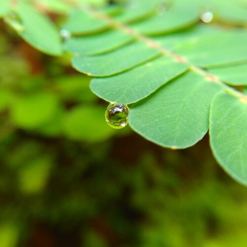 Last drop