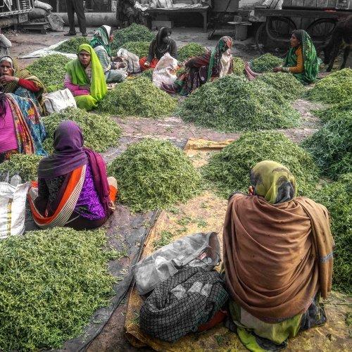 The green seller.