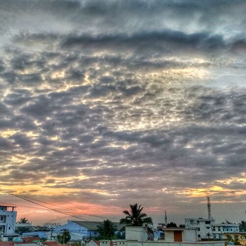 admired capture