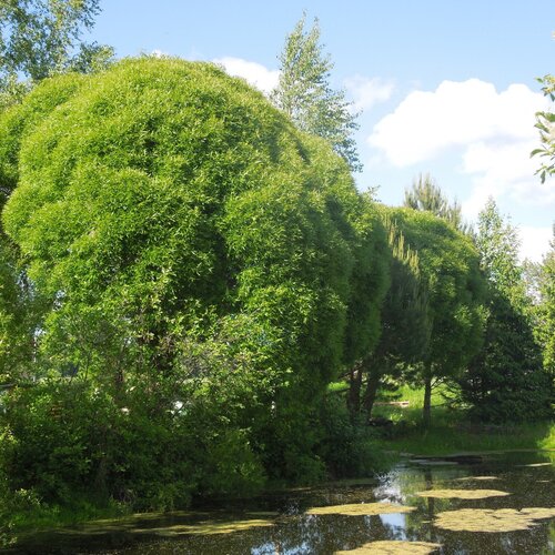 Photo #2149467