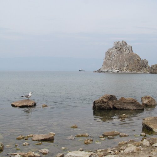Среди камней-одинокая Чайка