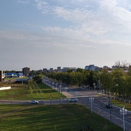 Взгляд птиц