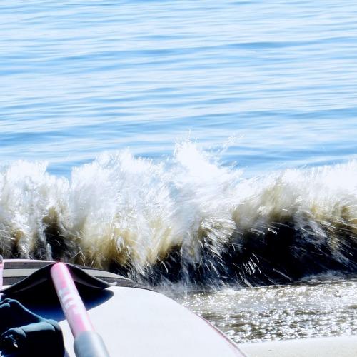 Photo #2152022