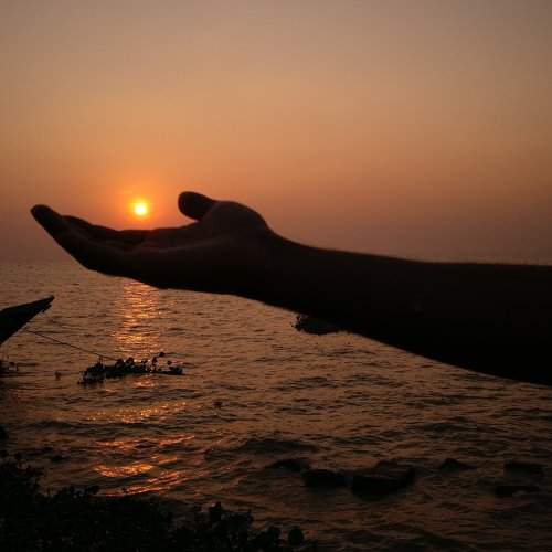 Setting sun on the palm