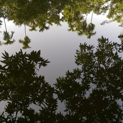 Reflection