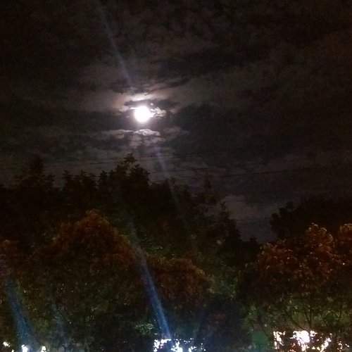 The Moon