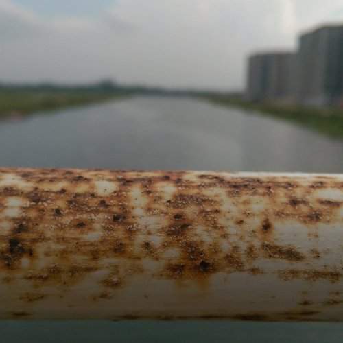 The rust