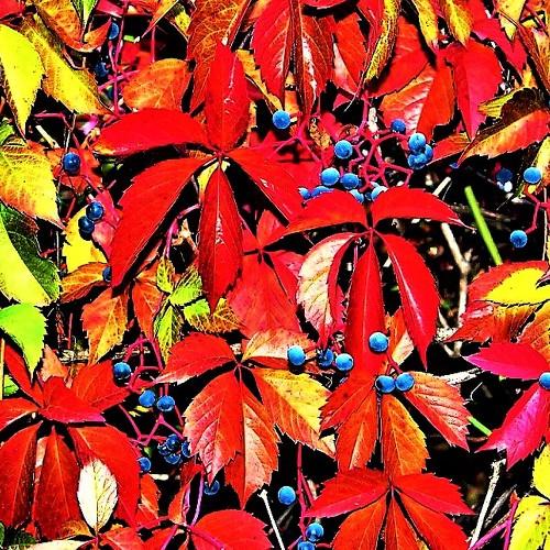 Photo #2153246