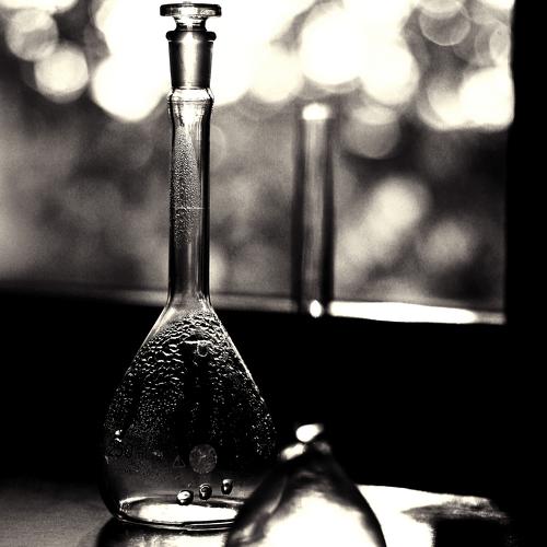 Photo #2155148