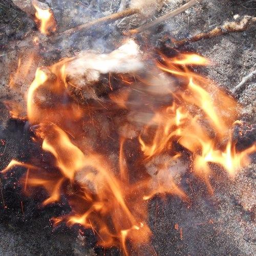Гори, камыш, гори !!!