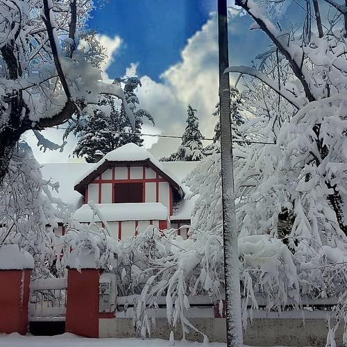 Snow home