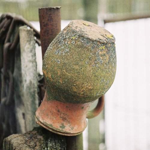 Photo #2156153