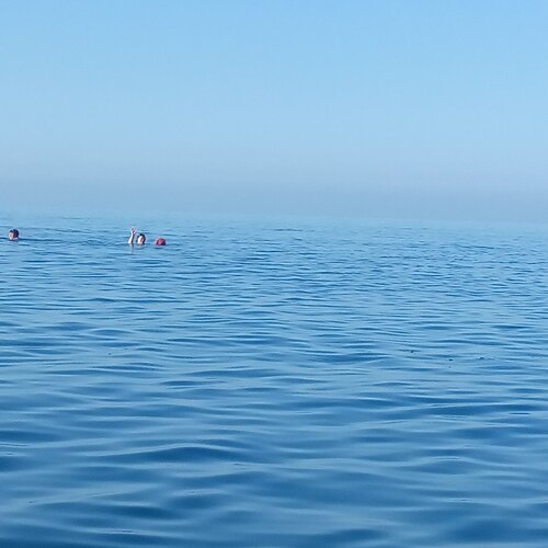 ЧЕРНОЕ, ЧЕРНОЕ МОРЕ