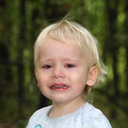 Photo #2157804