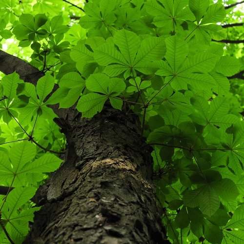 Photo #2159304