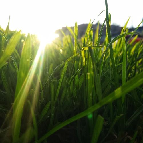 La nature perdu