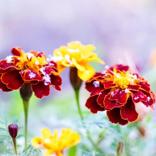 На рубеже времён года