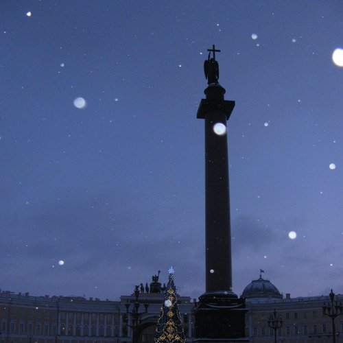 Photo #2160634
