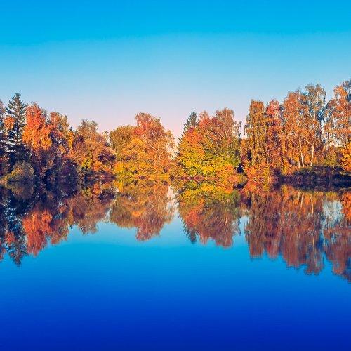 Reflections and autumn