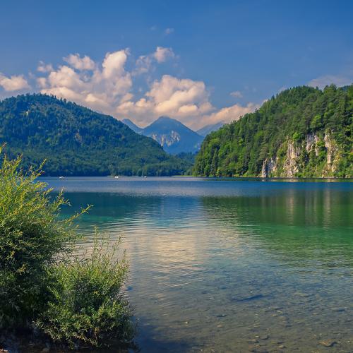Alpsee at summer