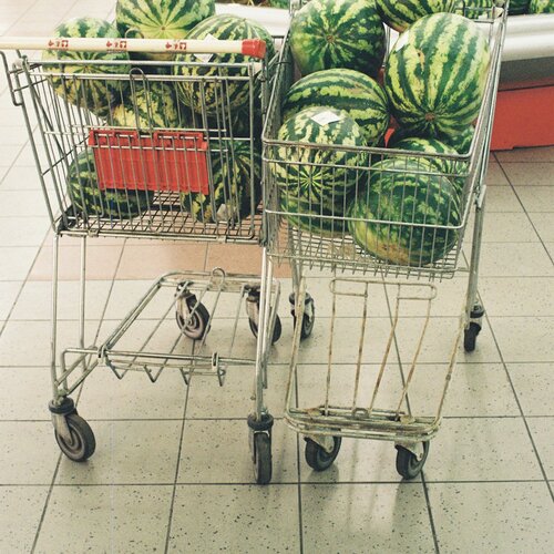 basket