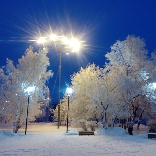Фонари в зимних сумерках