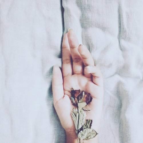 Nurturing dead