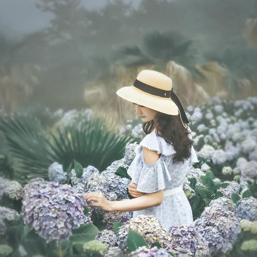rounded with hydrangea