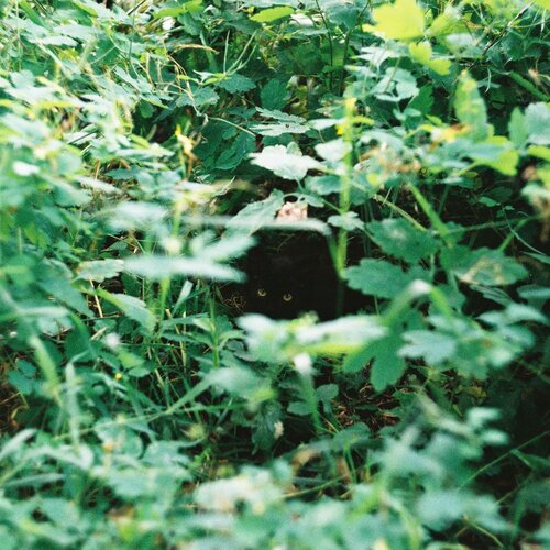 Photo #2164564