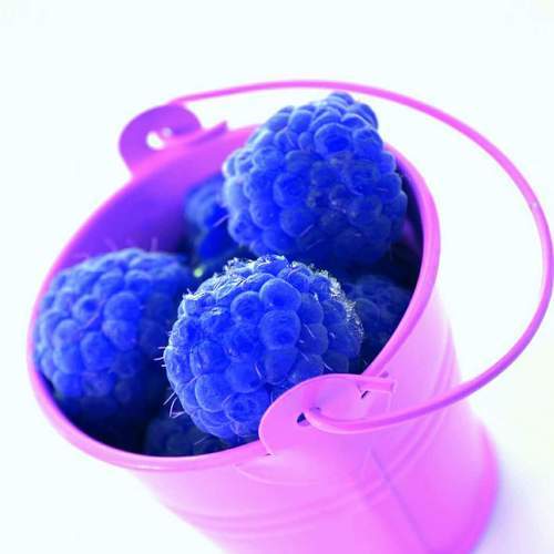 blue raspberry