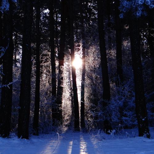 Photo #2165167