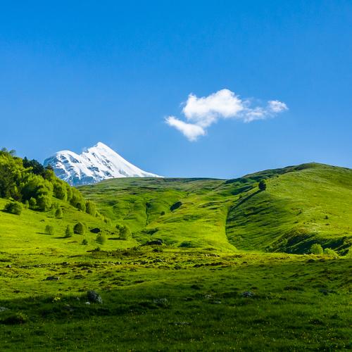 The green hills