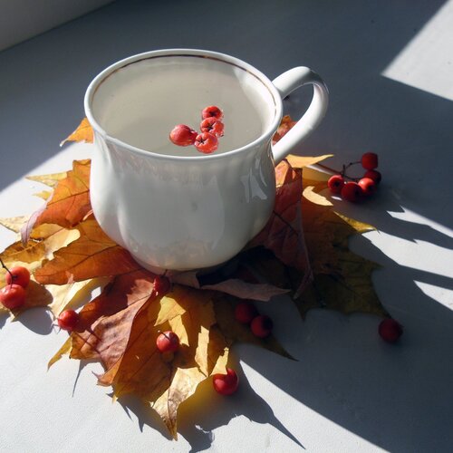 Photo #2167402