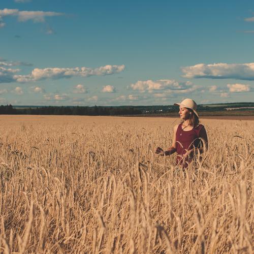 Rye field cerenity