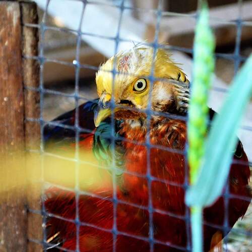 Photo #2167825