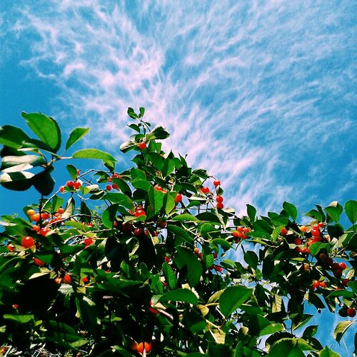Summer